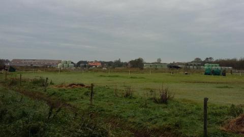 Terschelling, Hoorn. Verrommeling van de polder. Foto Piet Zumkehr